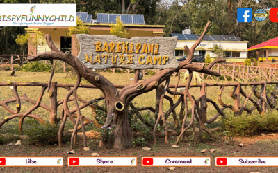 Barehipani Nature Camp