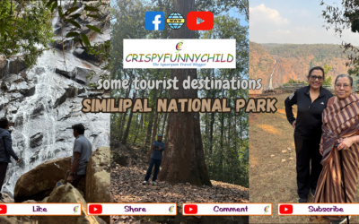Natural Destinations of Similipal National Park